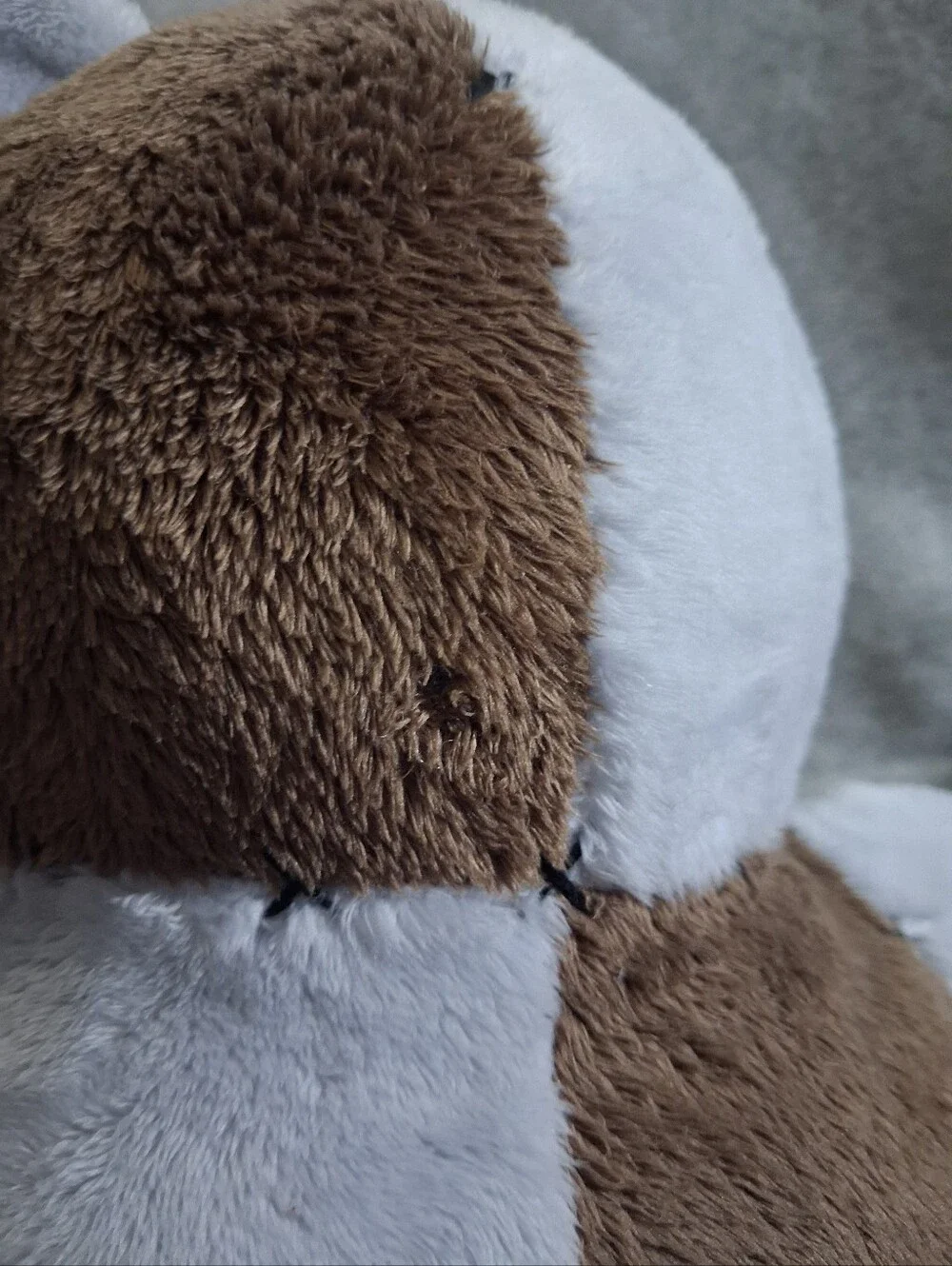 Ripndip teddy fresh